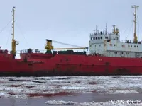 Navire frigorifique à vendre