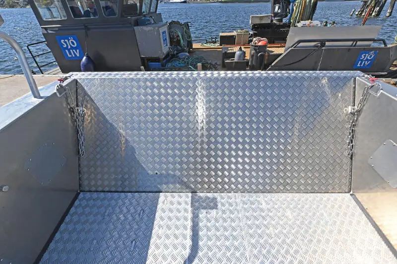 Catamaran à vendre