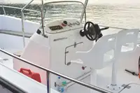Navire de passagers à vendre