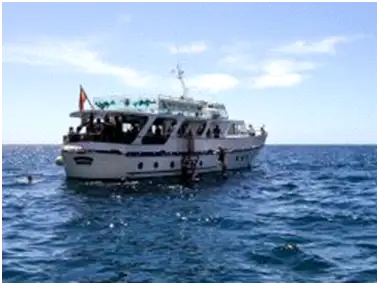 Navire de croisière à vendre