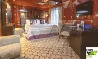 Navire de croisière à vendre