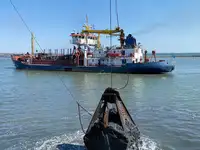 Drague à vendre