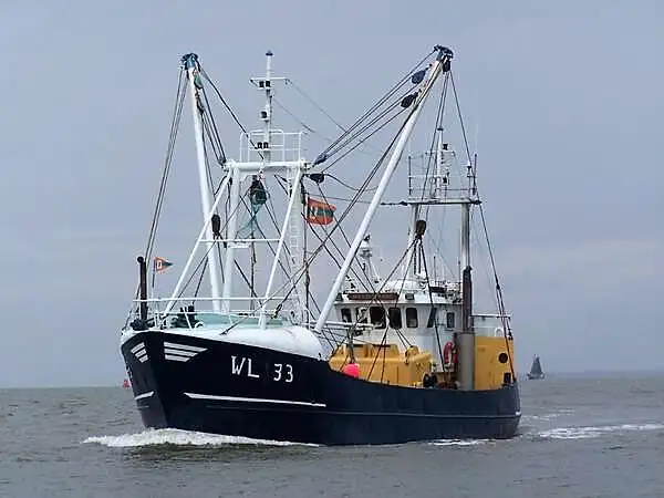 Chalutier à vendre
