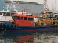 Bateaux de travail à vendre