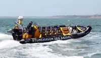 Bateau pneumatique rigide à vendre