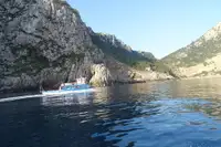 Navire-ferry à vendre