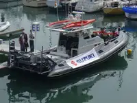 Patrouilleur à vendre
