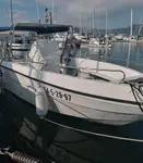 Navire de croisière à vendre