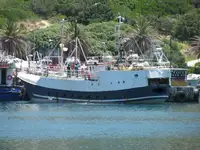 Palangrier à vendre