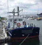 Bateaux de travail à vendre