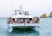 Catamaran à vendre