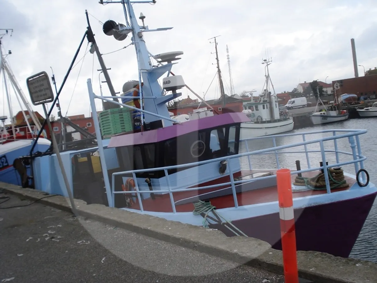Navire transporteur de poissons vivants à vendre
