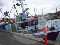 Navire transporteur de poissons vivants à vendre