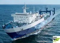 Ro-Ro ship à vendre