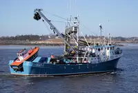 Purse seiner à vendre
