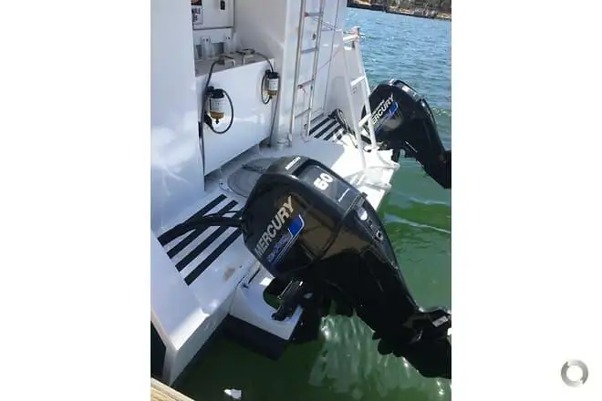 Catamaran à vendre