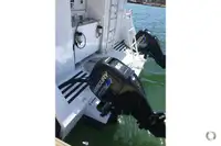 Catamaran à vendre