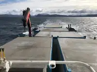 Bateaux de travail à vendre