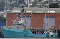 Trawler à vendre
