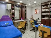 Navire de croisière à vendre