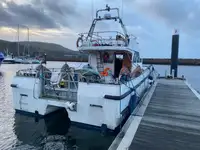 Catamaran à vendre