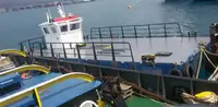 Bateaux de travail à vendre