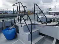 Catamaran à vendre
