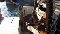 Chalutier à vendre