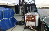 Chalutier à vendre