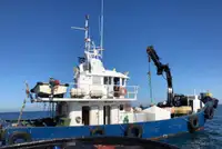 Bateaux de travail à vendre