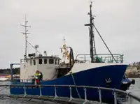 Trawler à vendre