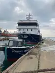 Purse seiner à vendre