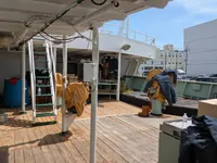Palangrier à vendre
