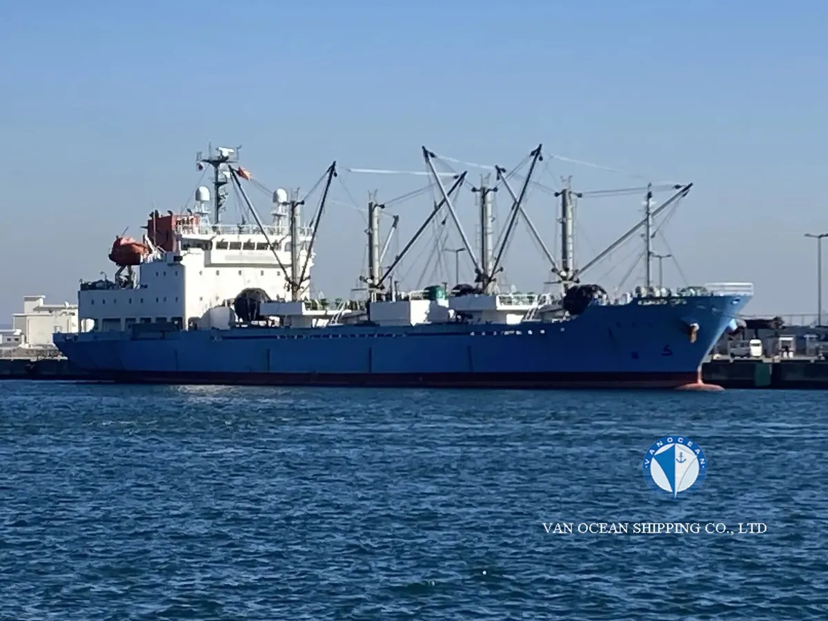 Navire frigorifique à vendre