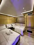 Navire de croisière à vendre