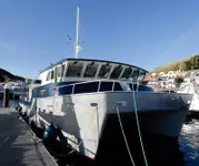 Remorqueur à vendre