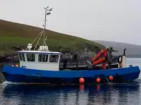 Bateaux de travail à vendre