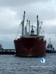 Navire frigorifique à vendre
