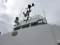 Bateaux de travail à vendre