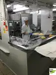 Navire de croisière à vendre