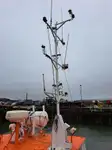 Remorqueur à vendre