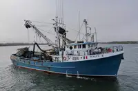 Chalutier à senne à vendre
