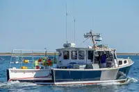 Purse seiner à vendre
