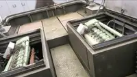 Remorqueur à vendre