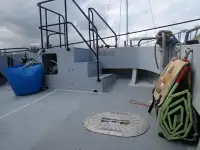 Catamaran à vendre
