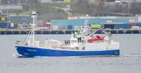 Purse seiner à vendre