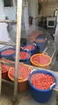 Chalutier à flottaison à vendre