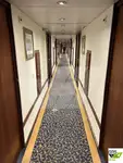 Navire de croisière à vendre