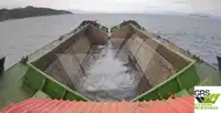 Péniche à vendre
