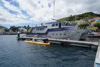 Remorqueur à vendre